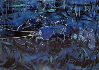 blauer_hummer